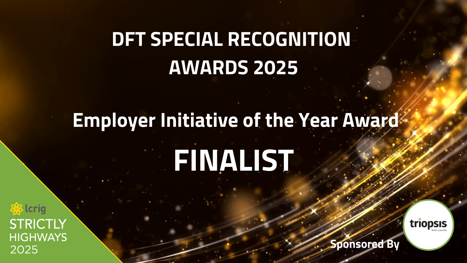 SH25 - Employer Initiative Finalist